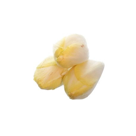 CHICON ENDIVE PREPACK 5KG